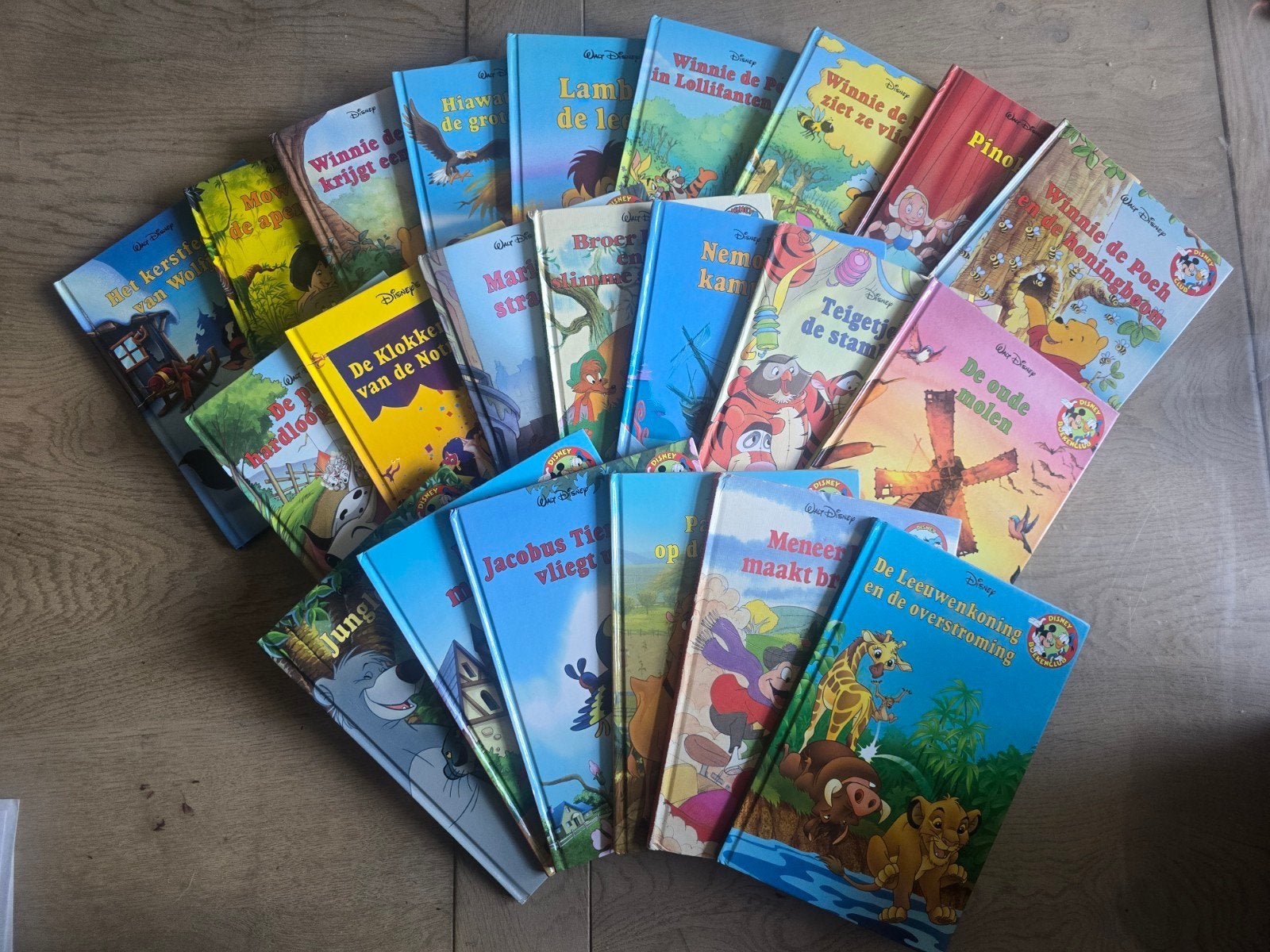 Grote collectie Disney boeken - 20 stuks, Boeken, Ophalen of Verzenden, Gelezen, Walt Disney, Sprookjes