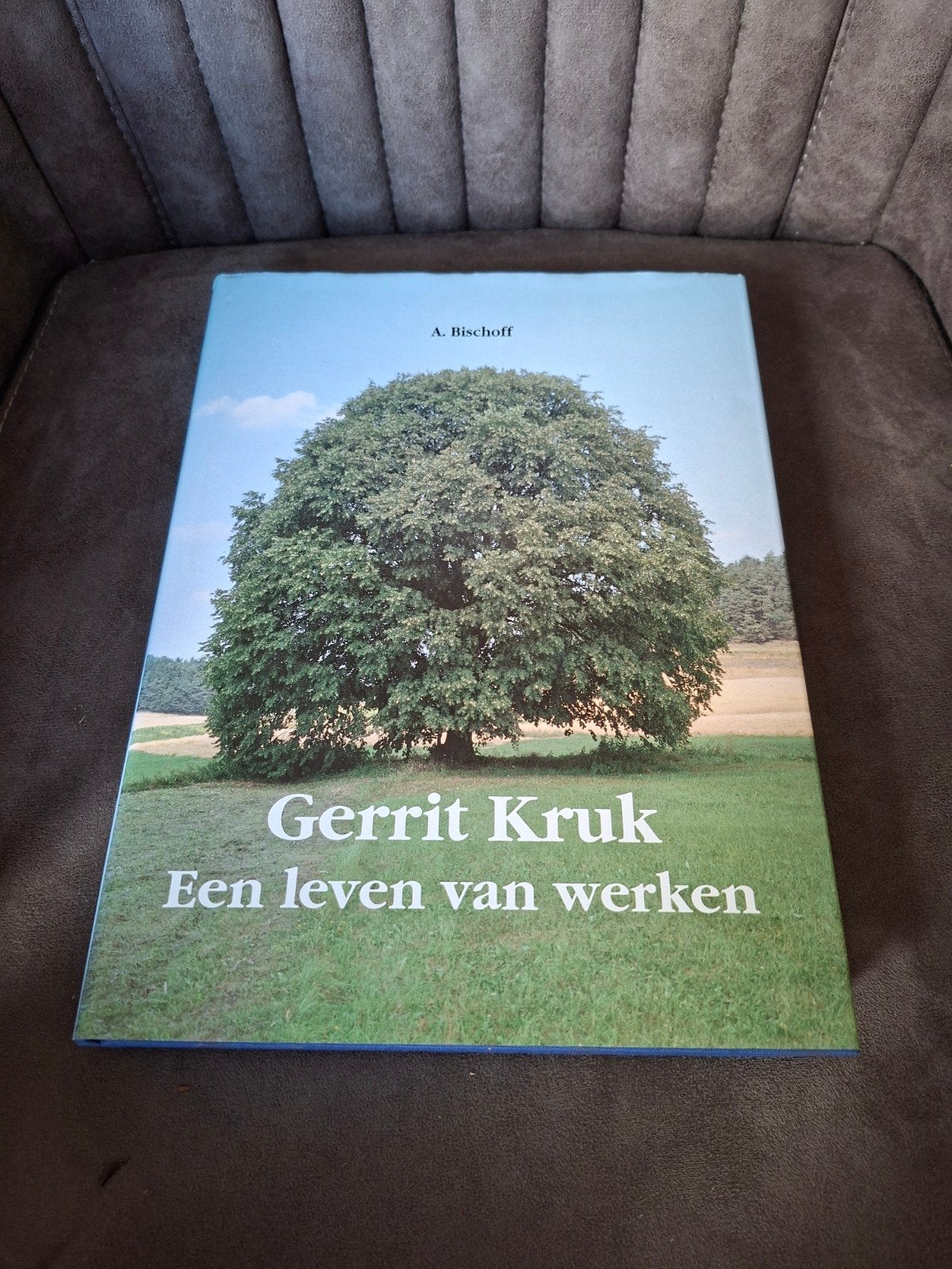 Gerrit Kruk: Een leven van werken - A. Bischoff, Ophalen of Verzenden, Zo goed als nieuw, A. Bischoff, Overige