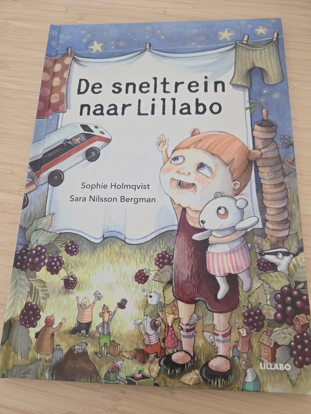 De sneltrein naar Lillabo - Sophie Holmquist, Ophalen of Verzenden, Zo goed als nieuw, Sophie Holmquist, 2 tot 3 jaar
