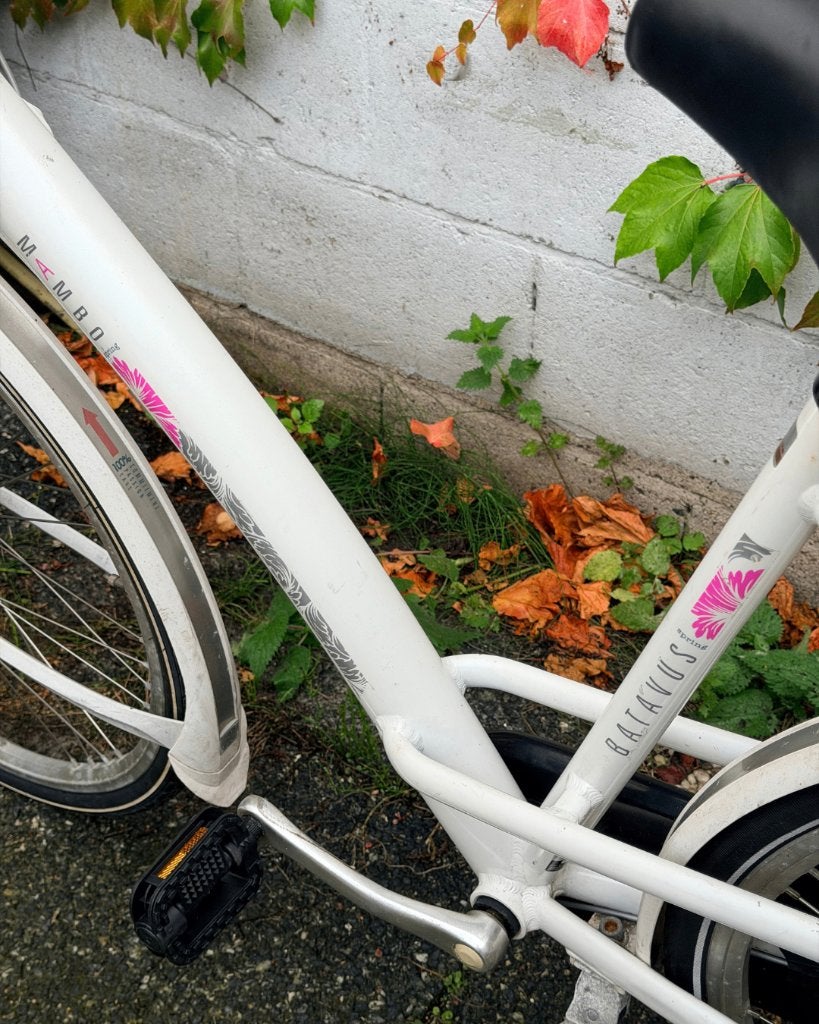 dames fiets, Ophalen, Gebruikt, Batavus, Versnellingen