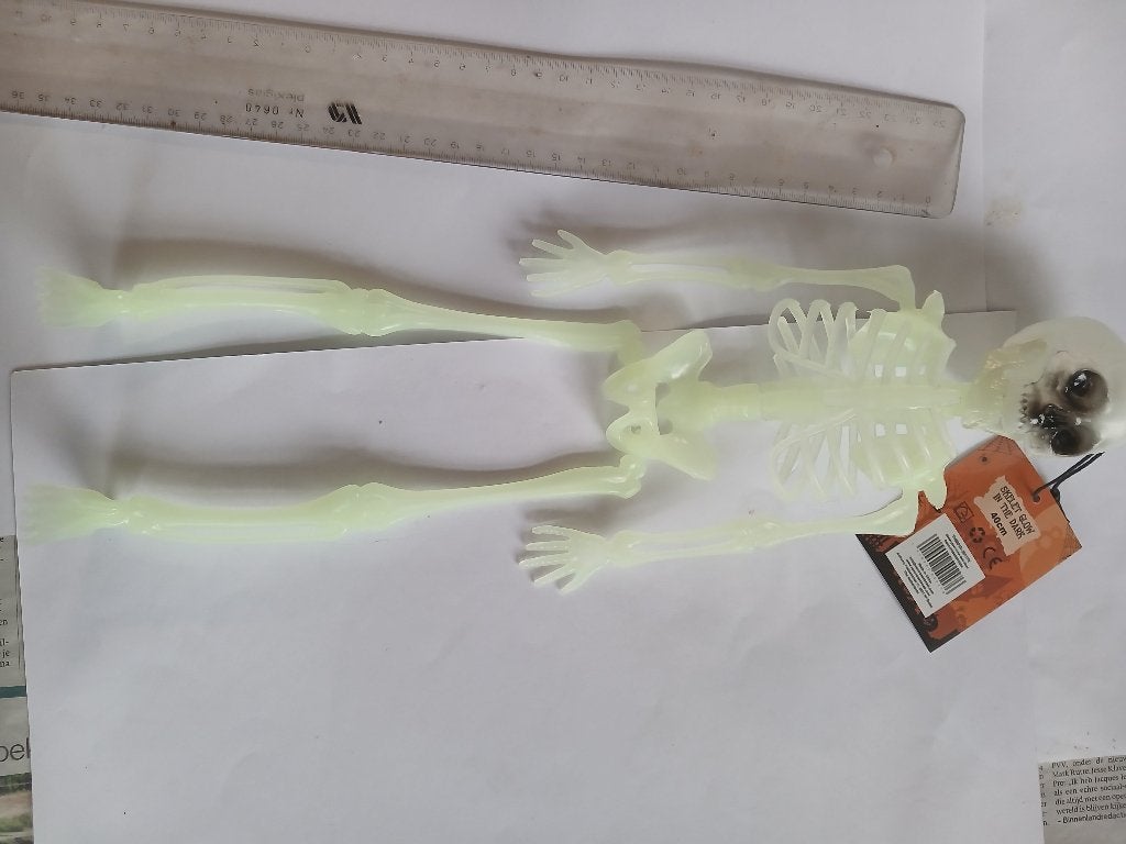 Glow in the Dark Skelet - 40cm Decoratie, Ophalen of Verzenden, Nieuw