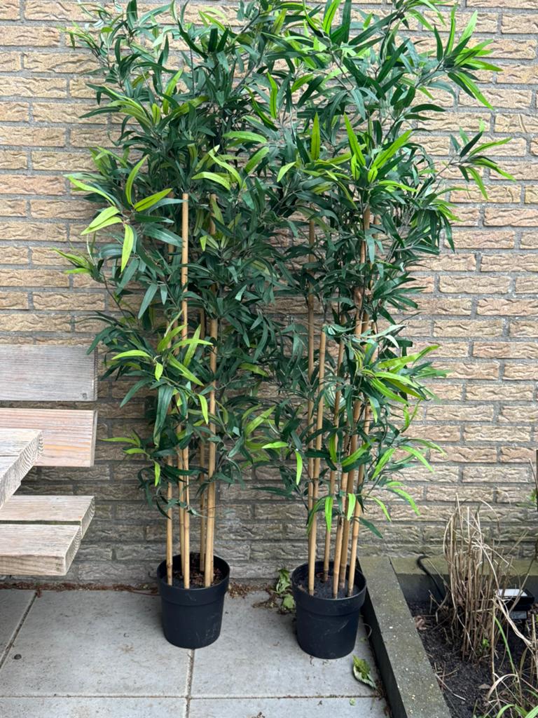 Kunst Bamboe (ikea), Ophalen, Overige soorten, Minder dan 100 cm