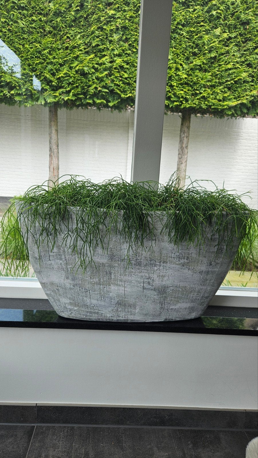 Grote bloempot 5stuks, Ophalen, Rond, Kunststof, 40 cm of meer