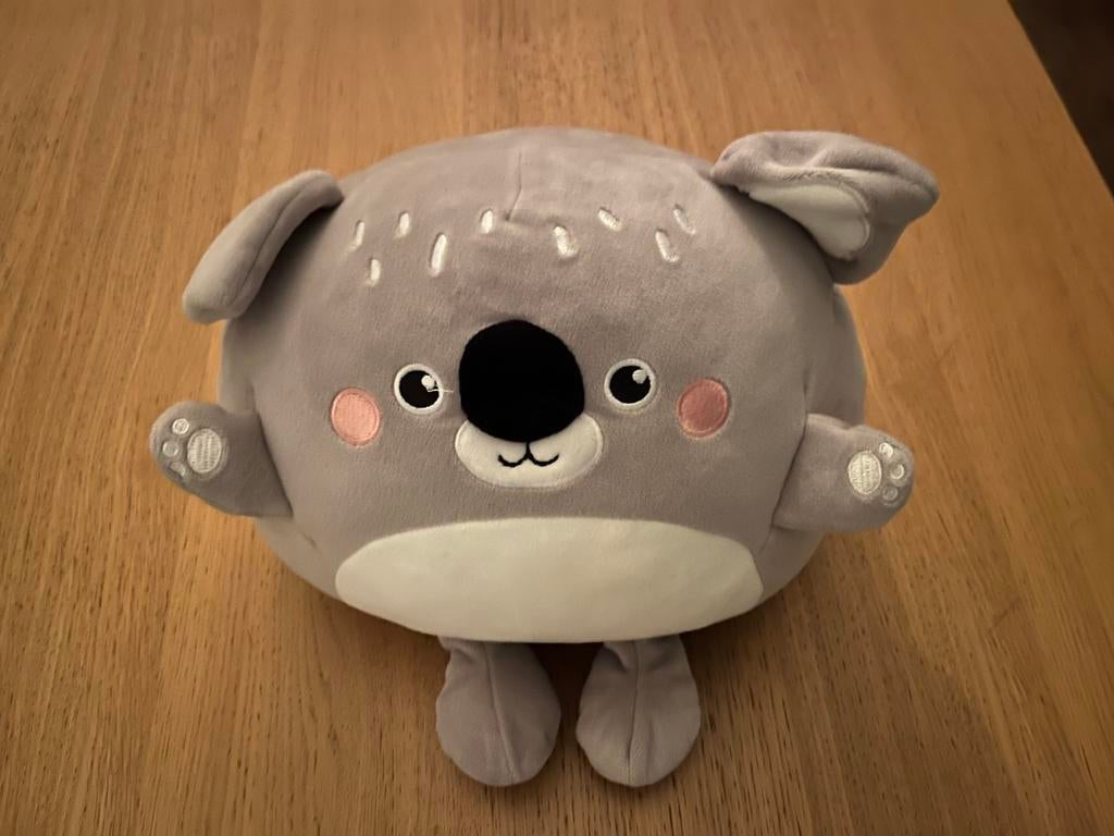 Knuffel, Kinderen en Baby's, Speelgoed | Knuffels en Pluche, Ophalen of Verzenden, Zo goed als nieuw, Overige typen