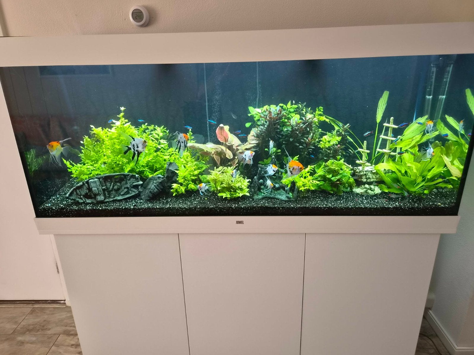 Juwel rio 450, Ophalen, Zo goed als nieuw, Gevuld zoetwateraquarium
