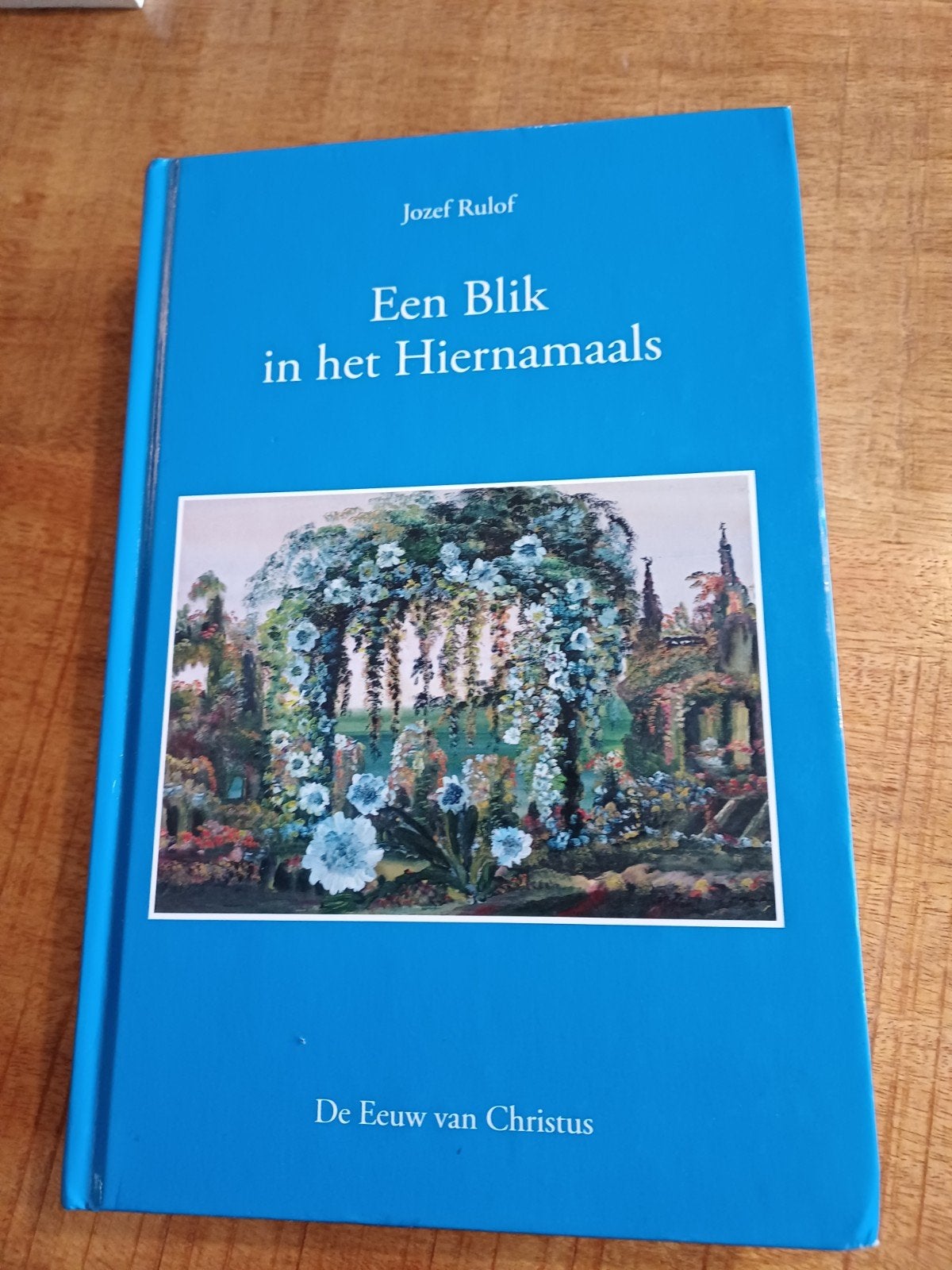Jozef Rulof - Een Blik in het Hiernamaals, Boeken, Ophalen of Verzenden