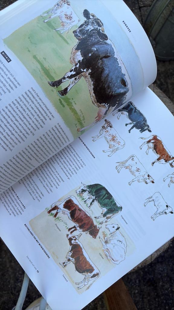 Prachtig boek vee  boerderij schaap paard koe geit kip, Ophalen of Verzenden, Zo goed als nieuw, Paarden of Pony's