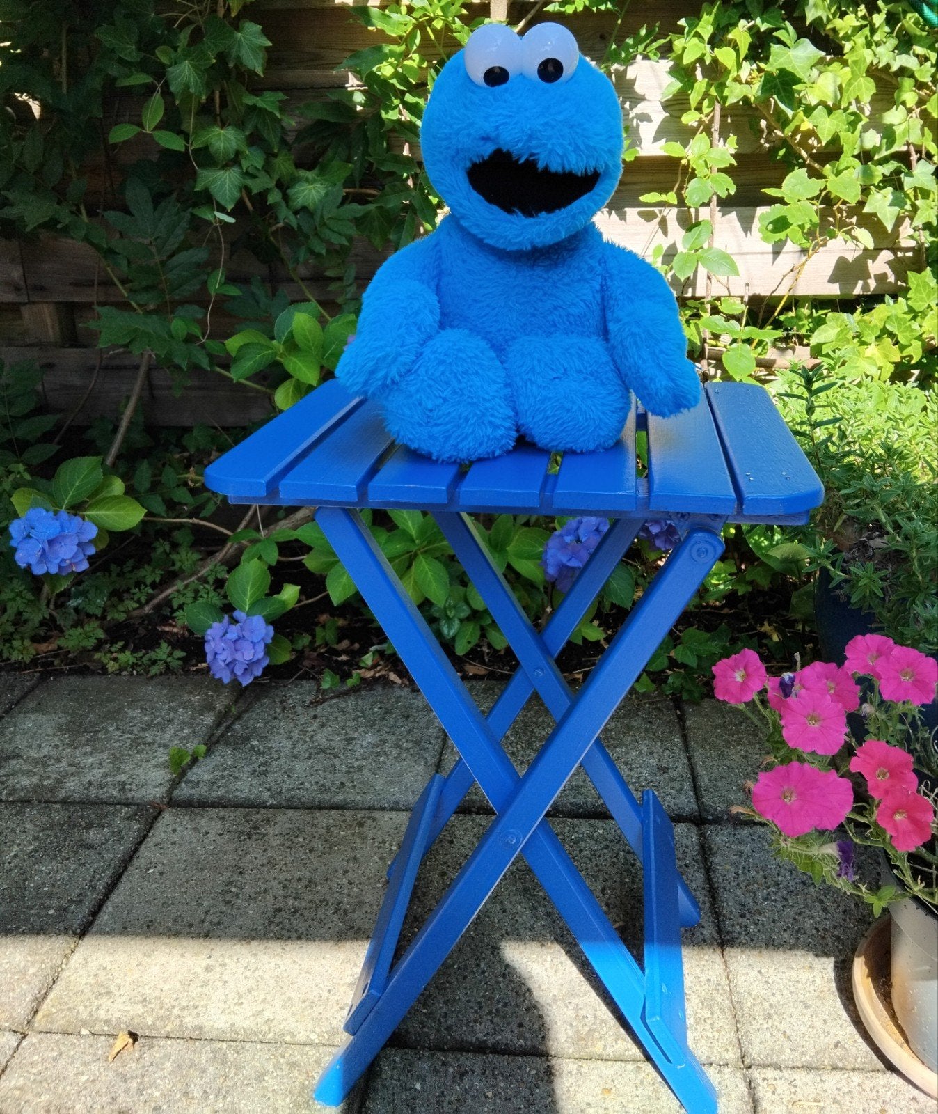 Koekiemonster knuffel - Sesamstraat, Gebruikt, Overige merken, Overige karakters, Overige typen