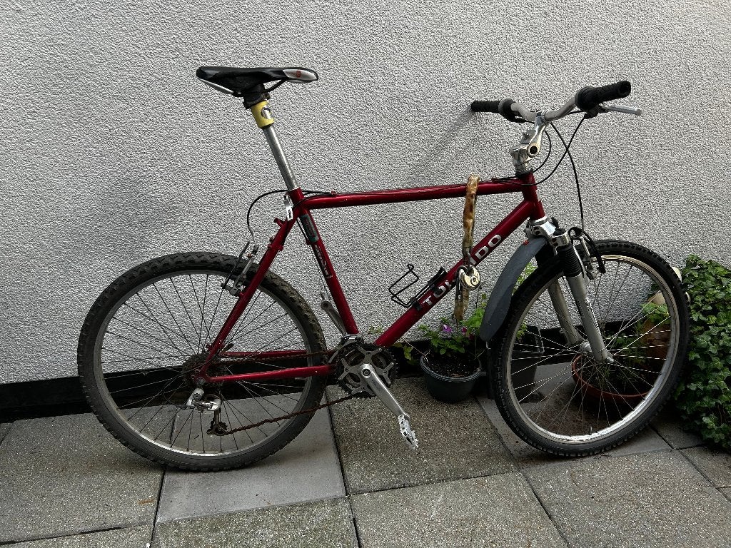 mountainbike, Gebruikt, 57 cm of meer, Heren, Ophalen