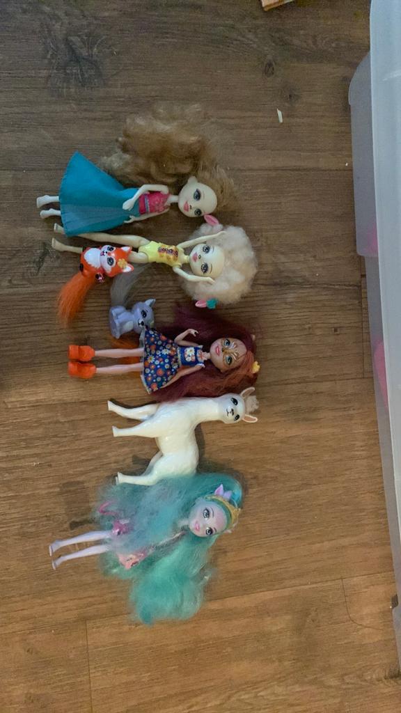 Enchantimals, Ophalen of Verzenden, Overige typen