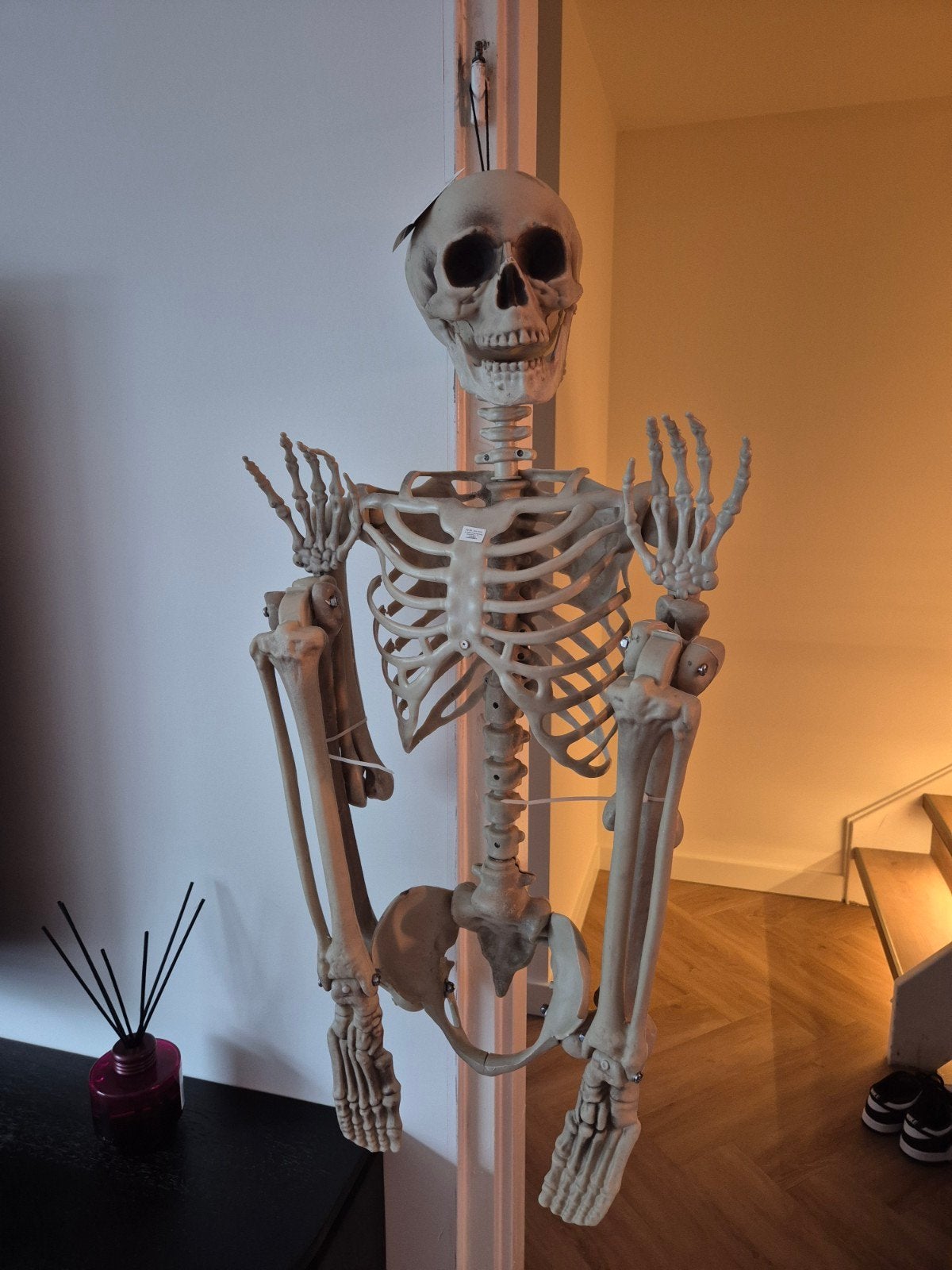 Nieuw!!! Halloween skelet 1.60 cm groot, Ophalen of Verzenden, Nieuw, Halloween of Griezel