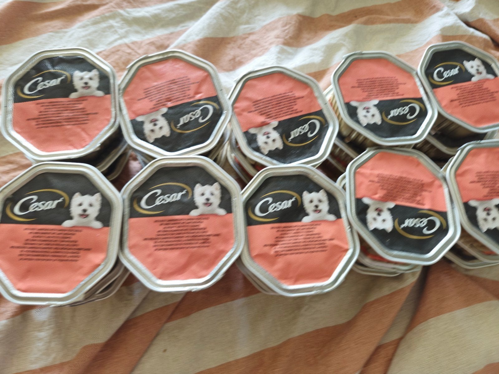30 cesar hondenvoer kuipjes rund 1 koop ophalen 150 gram, Ophalen, Hond