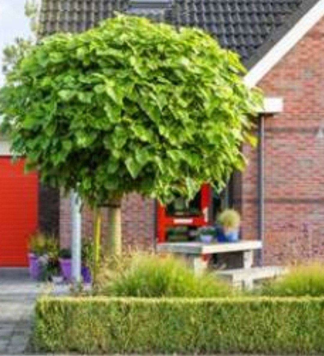 Betonnen tuinset, Ophalen, Gebruikt, Rechthoekig, Hout