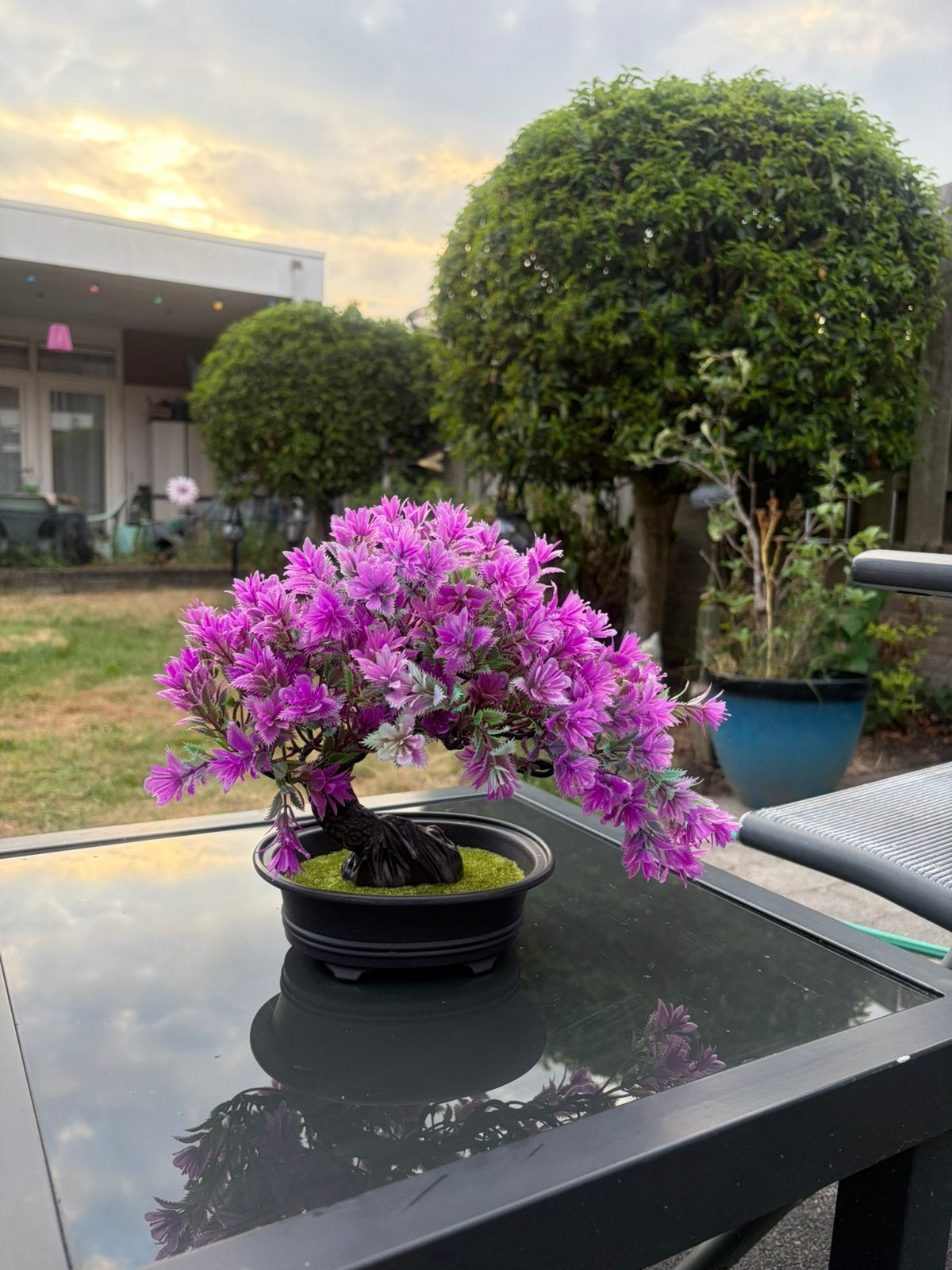 Kunststof bonsai, Paars, Kunstplant, Nieuw, Kunststof