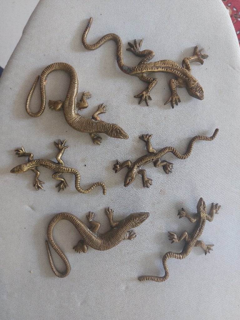 salamanders, Ophalen, Brons