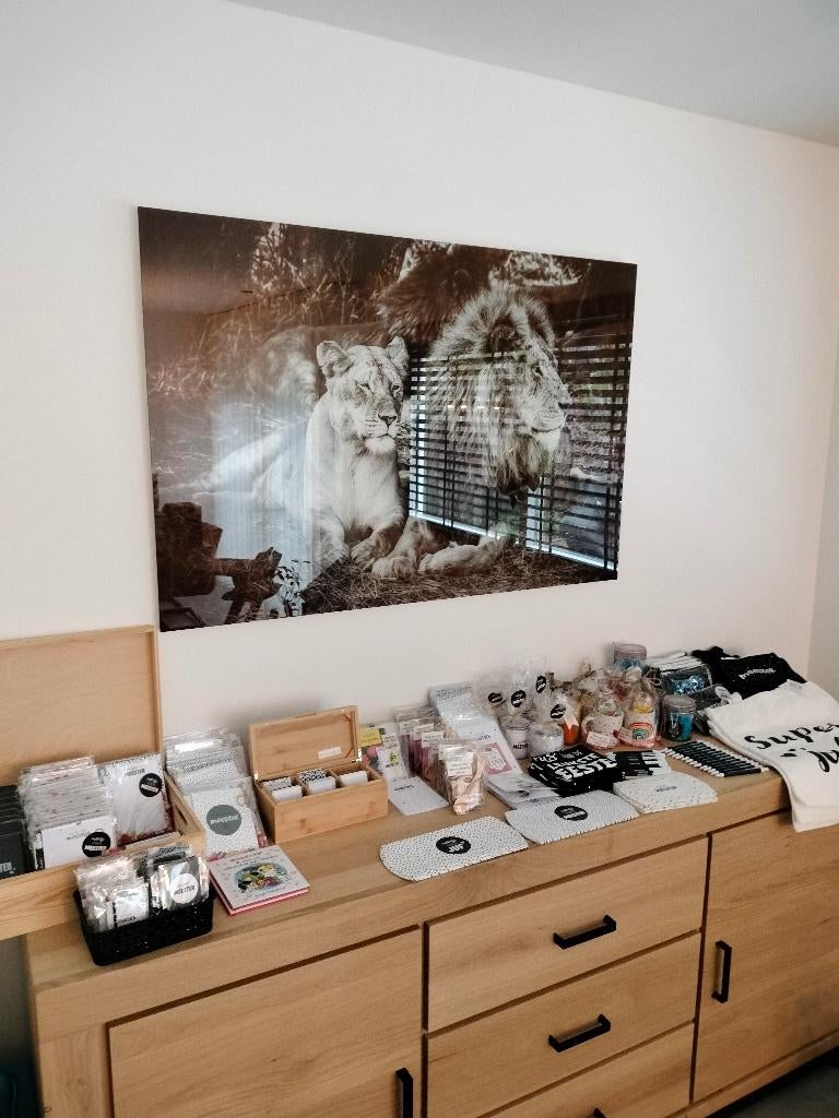 Bulkverkoop cadeautjes juf en meester, Ophalen of Verzenden, Nieuw, A7