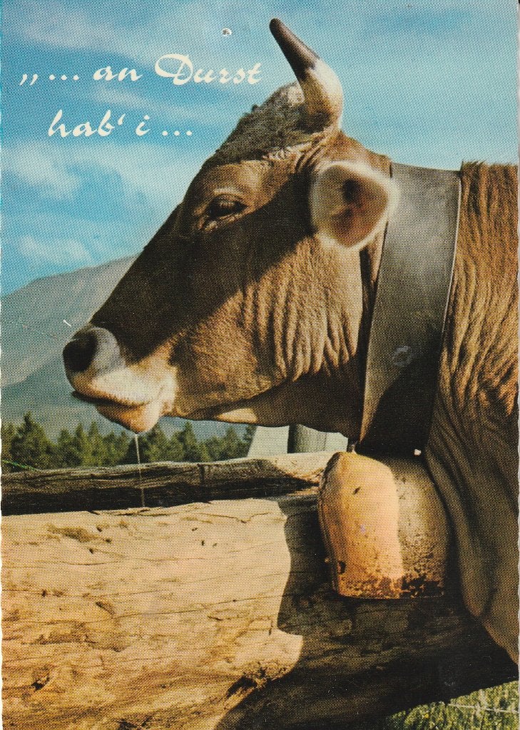 Zwitserland "...an Durst hab' i..." 1983, Ophalen of Verzenden, 1980 tot heden, Gelopen, Overig Europa