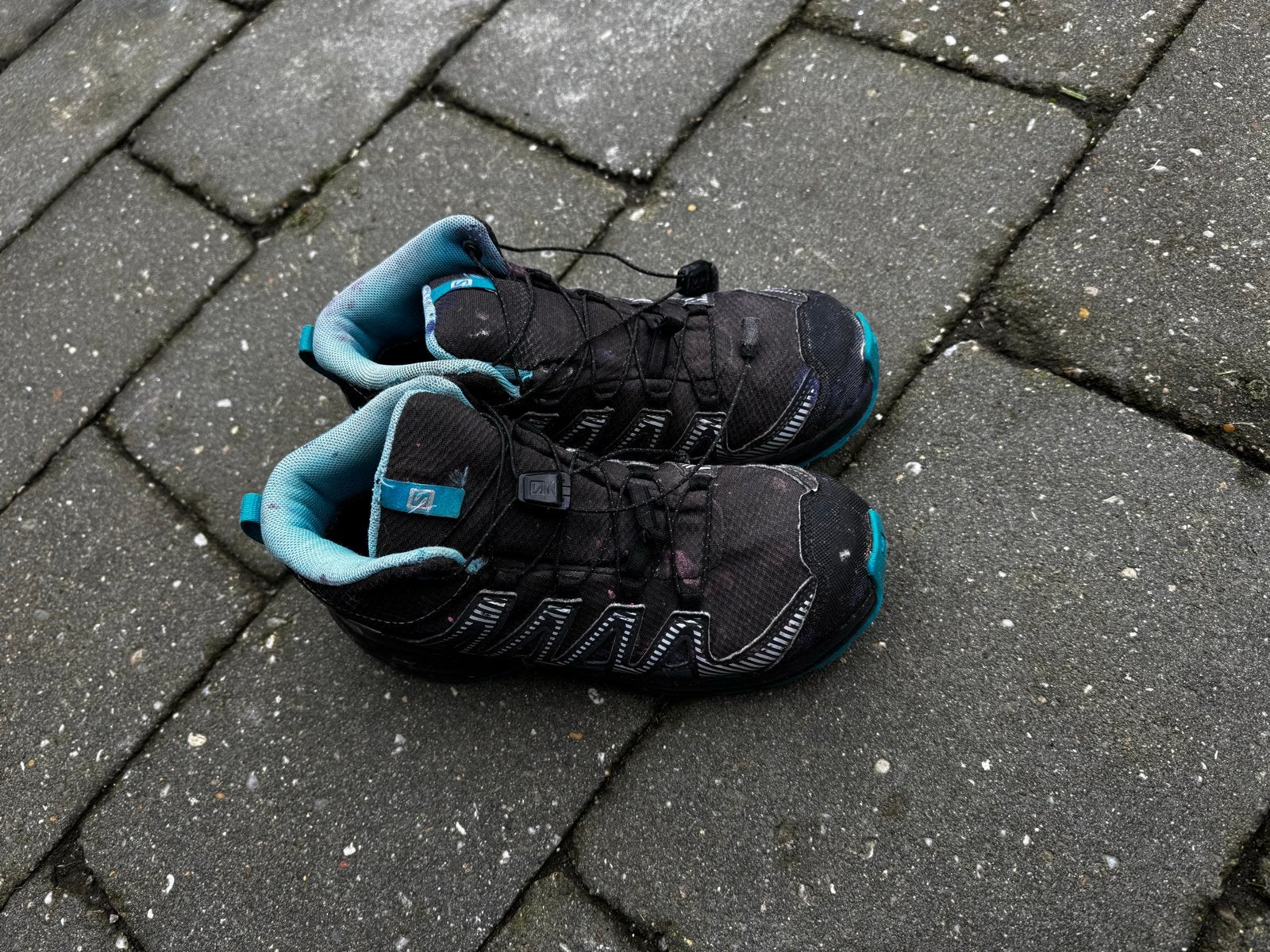 Salomon Speedcross sneakers - Zwart/Turquoise, Zwart, Gedragen, Wandelschoenen, Ophalen of Verzenden