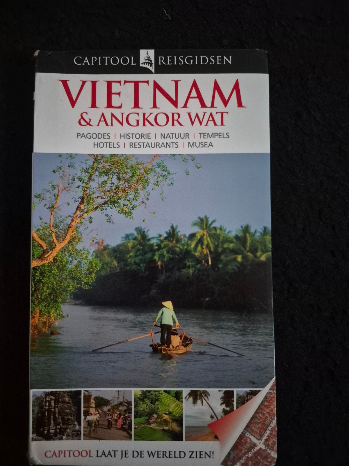 Dana Healy - Vietnam & Angkor Wat, Boeken, Capitool, Ophalen of Verzenden, Reisgids of -boek, Dana Healy; Jayashree Menon; Richard Sterling; Asavari Singh;...