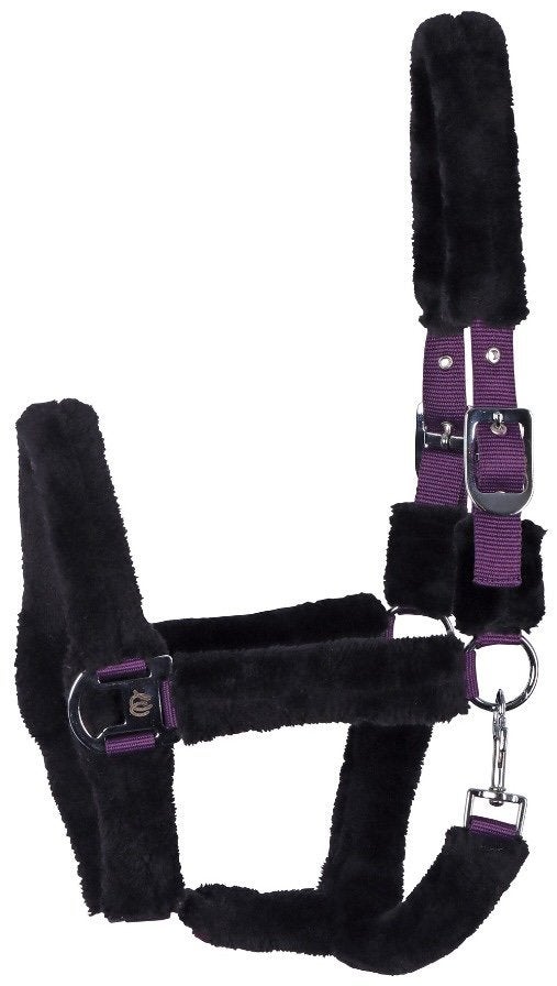 Harry’s horse halster reine zwart paars Full nieuw, Dieren en Toebehoren, Paars, Nieuw, Ophalen of Verzenden, Halster