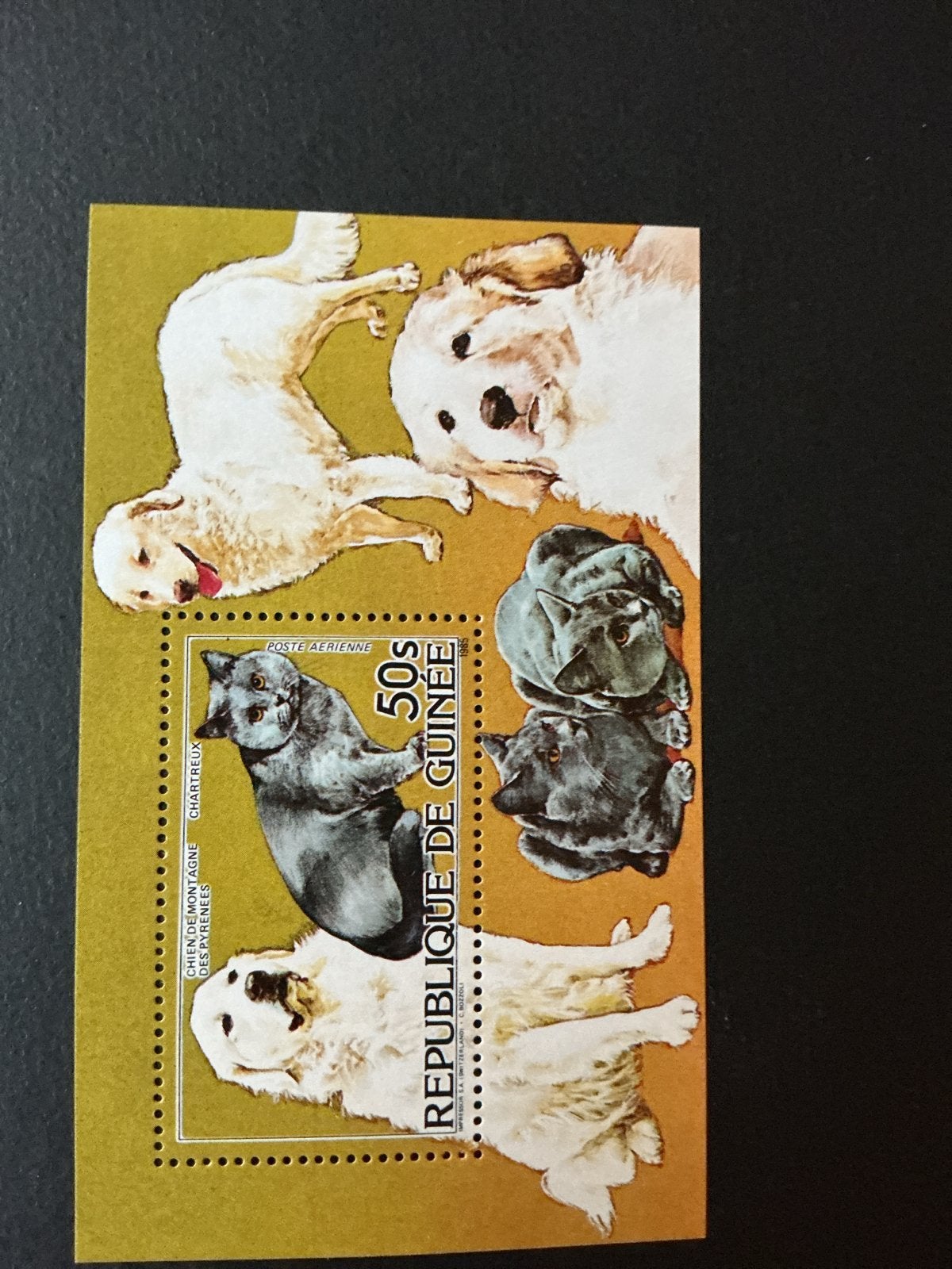 Guinee 50s postzegel met honden en katten, Verzenden, Guinee, Postfris
