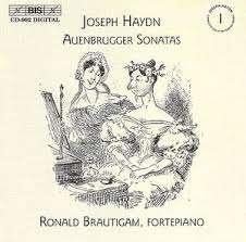 cd Haydn : Auenbrugger Sonatas : Ronald Brautigam, Ophalen of Verzenden, Classicisme, Zo goed als nieuw, Overige typen