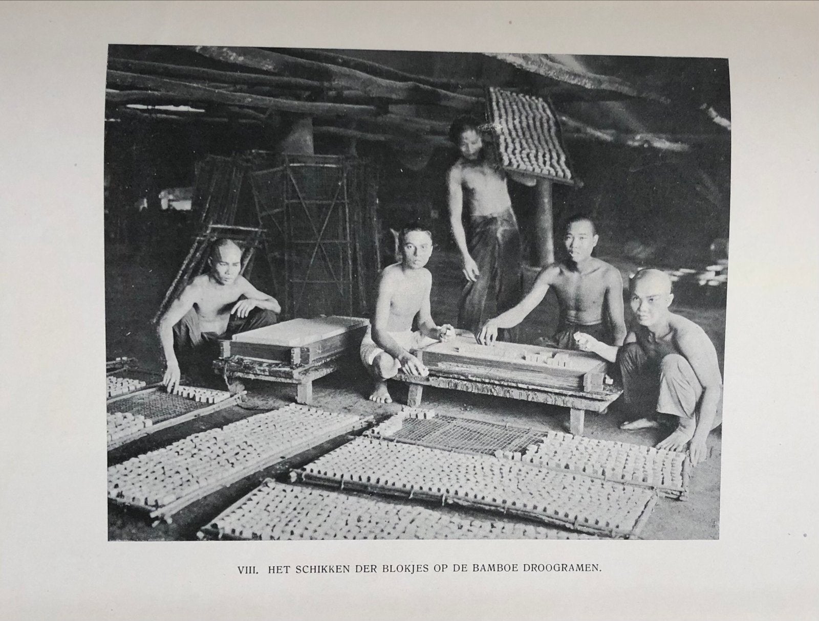De Gambircultuur in de Buitenbezittingen -  Indië Indonesië, Ophalen of Verzenden