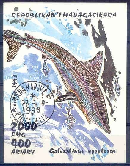 Madagaskar 1993 blok 210 gest., Ophalen of Verzenden, Overige landen, Gestempeld