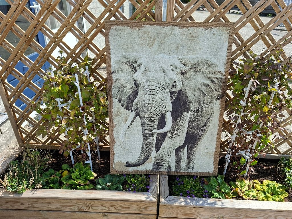 olifant schilderij op jute, Ophalen of Verzenden, Zo goed als nieuw