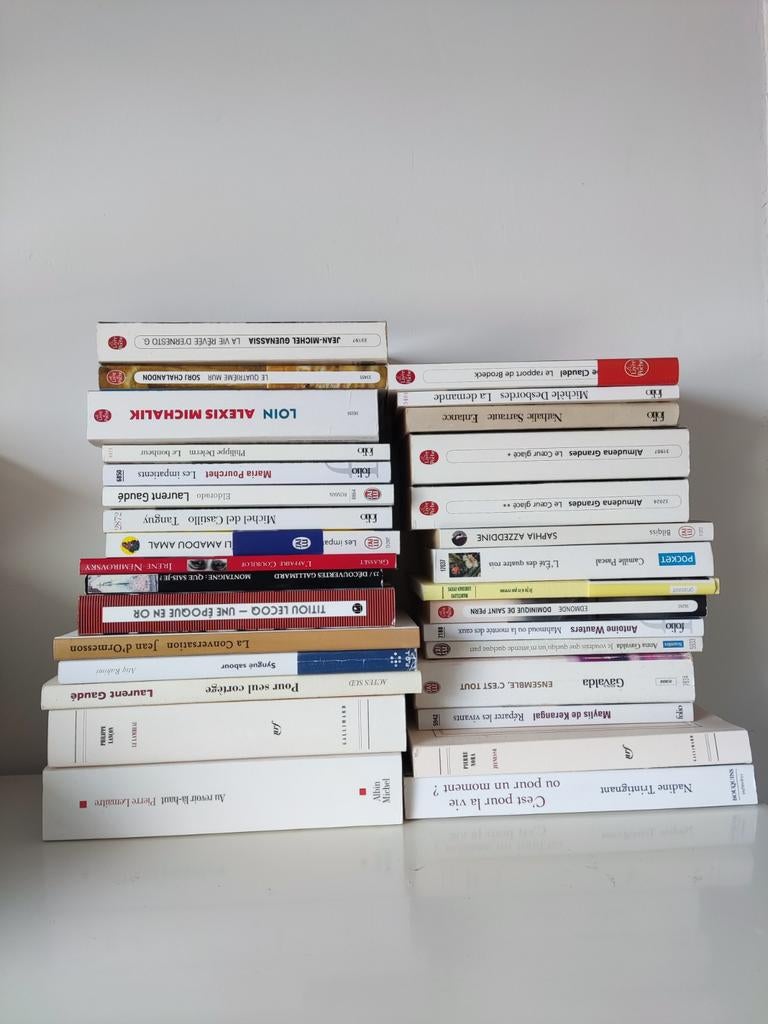 41 Franse boeken - Diverse auteurs en genres, Gelezen, Frans, Diverse auteurs, Ophalen of Verzenden