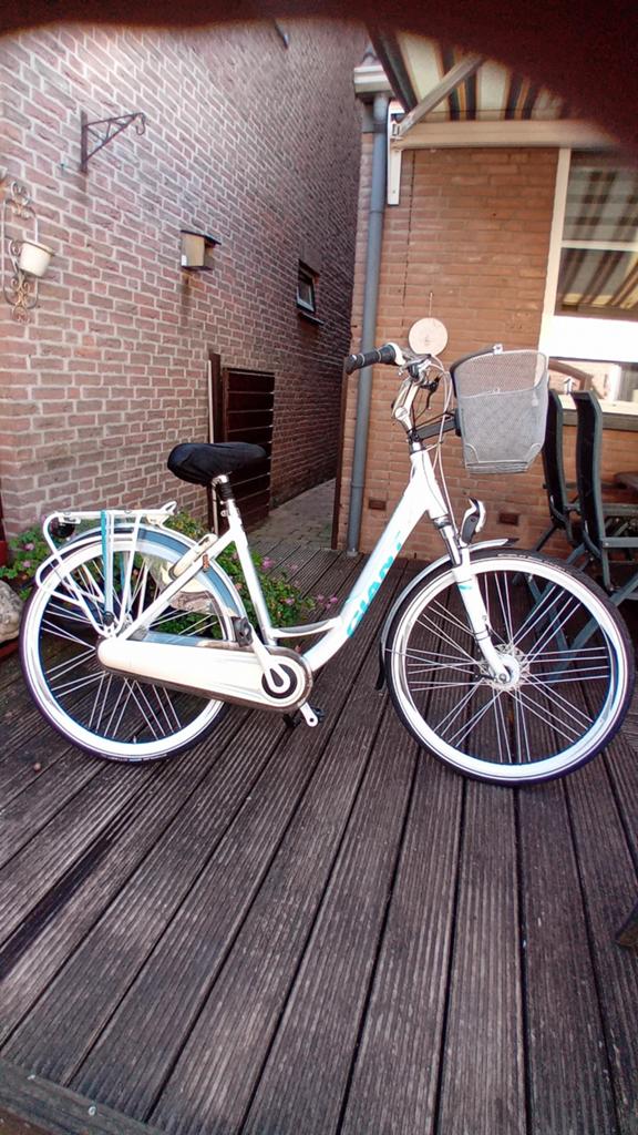 Giant damesfiets, Ophalen, 0 zitjes, Gebruikt, Giant