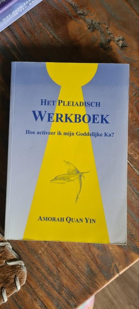 Het Pleiadisch Werkboek - Amorah Quan Yin, Boeken, Ophalen of Verzenden