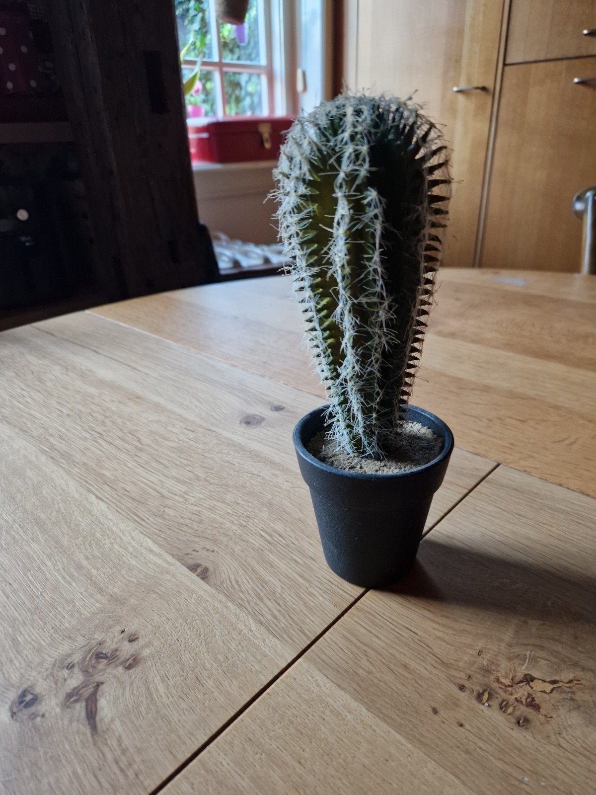 Decoratieve Kunstcactus in Pot - Groen, Binnen, Groen, Met pot of vaas, Kunstplant