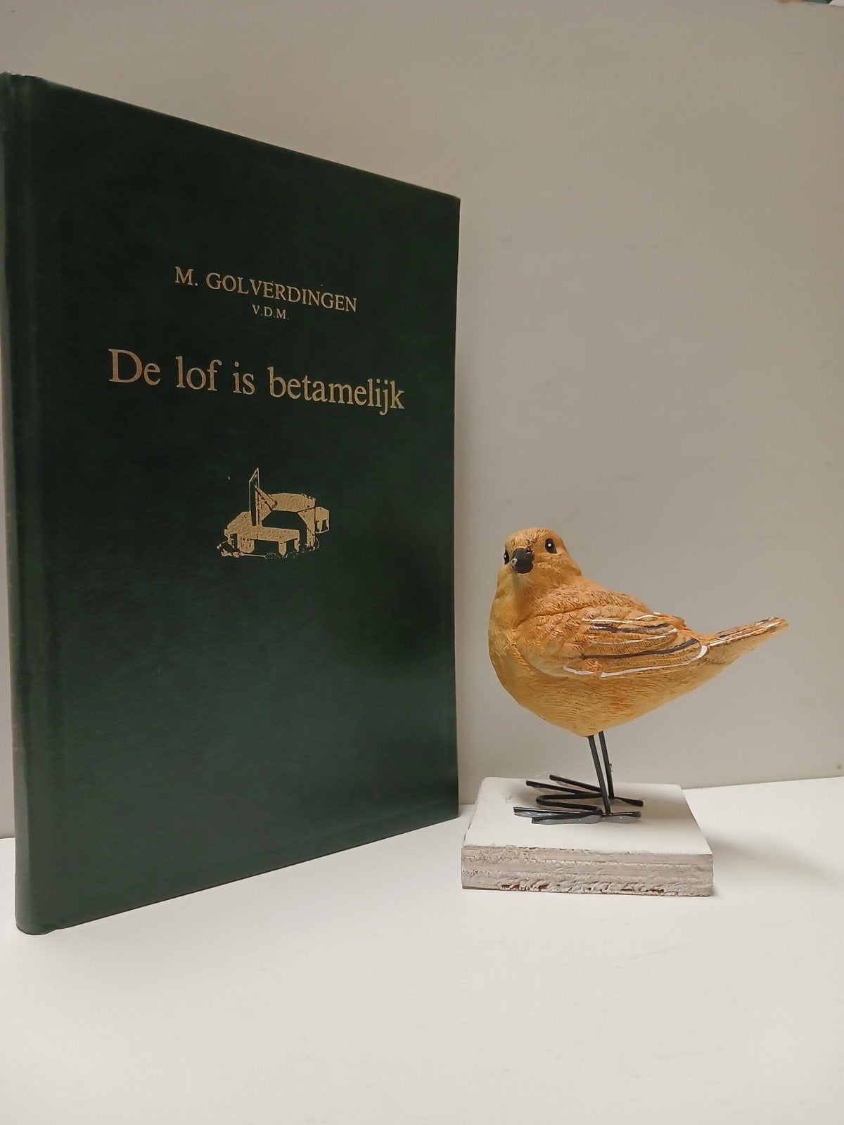 Golverdingen, Ds. M.; De lof is betamelijk, Ophalen of Verzenden, Gelezen, Christendom | Protestants