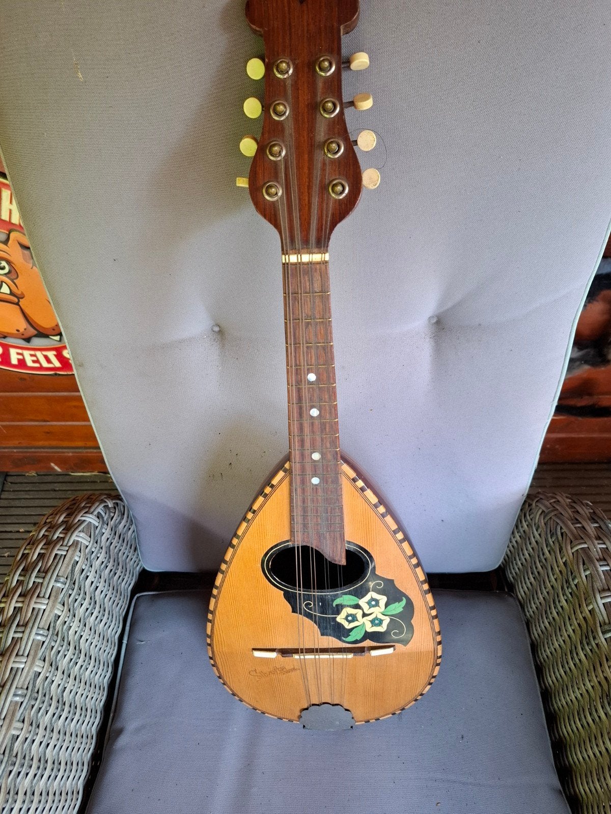 mandoline H.P. Vingen, Silvertonia ruilen squier 70s vibe, Ophalen of Verzenden, Gebruikt, Overige typen