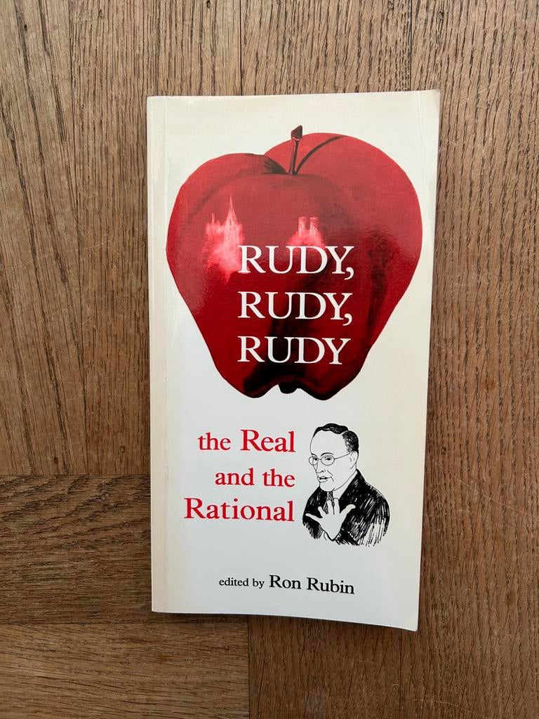 Zeldzaam boek: Rudy, Rudy, Rudy (Rudy Giuliani) - Ron Rubin, Ophalen of Verzenden, Zo goed als nieuw, Politiek en Staatkunde, Overige gebieden
