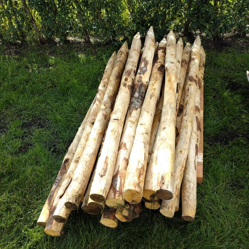 kastanje houten palen, Tuin en Terras, Palen, Balken en Planken, Ophalen, Nieuw, 180 tot 250 cm, Palen