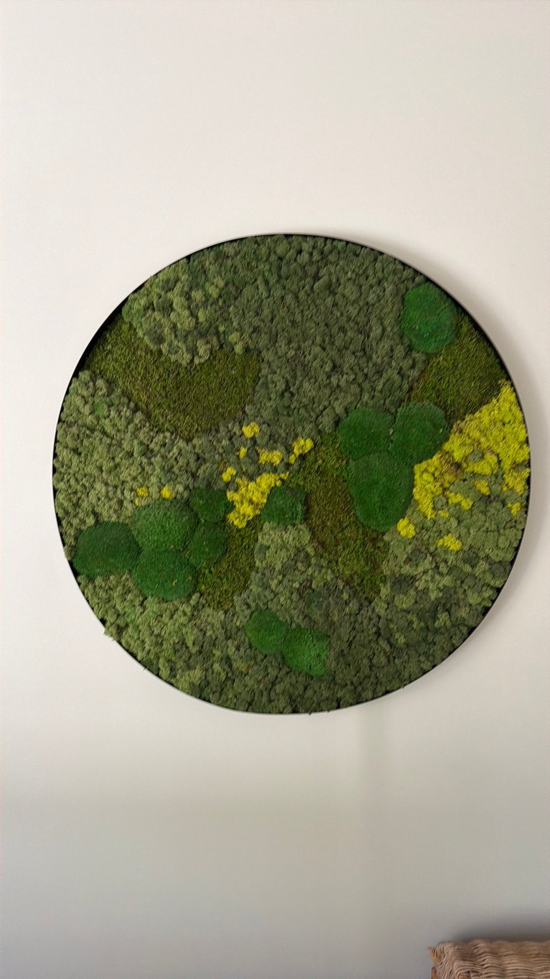 Rond mosschilderij 100cm doorsnede, Groen, Gebruikt, 100 cm, Natuurlijk materiaal