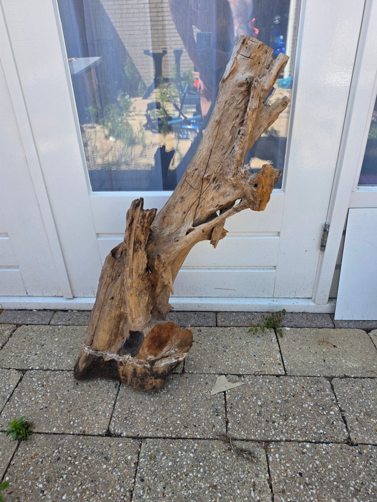 Groot stuk hout., Ophalen, Tak, Plant, Rots of Steen