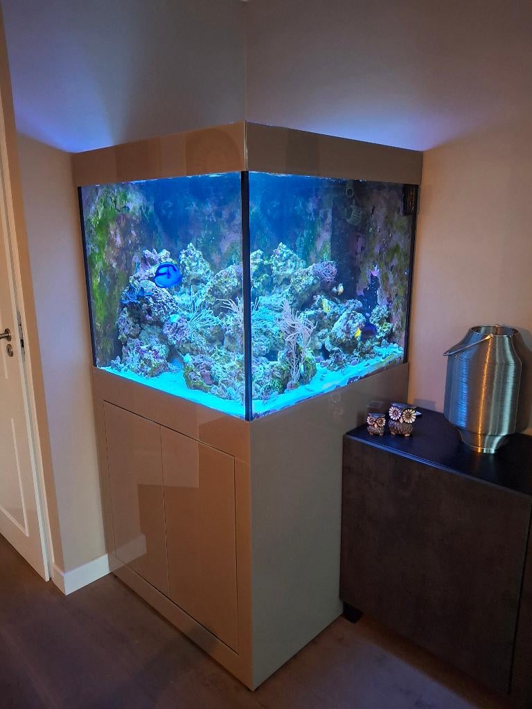 Leeg zee-aquarium van Aqualife met toebehoren, Ophalen, Gebruikt, Leeg aquarium