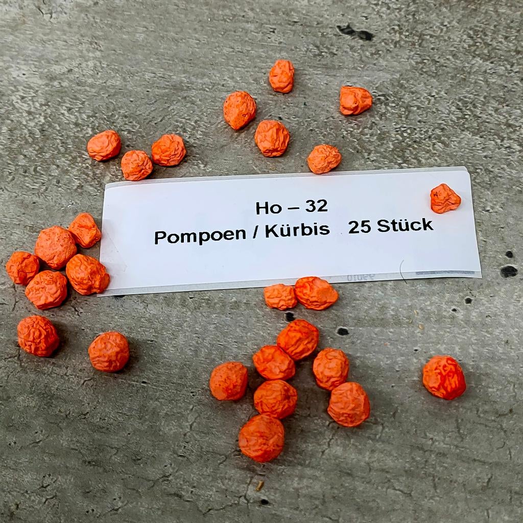 modeltrein Ho - 32   Pompoenen, Gelijkstroom, Natuur, Nieuw, Ophalen of Verzenden