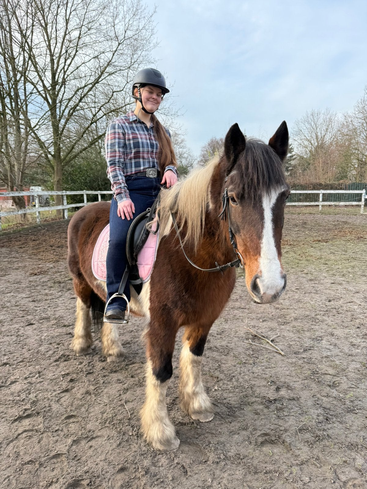 Gezocht bijrijd paard, Ophalen