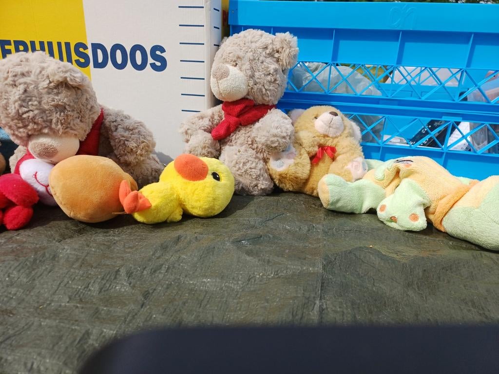 Leuke knuffels: beren, eend en meer!, Gebruikt, Beer, Ophalen of Verzenden, Middelgroot (20 tot 80 cm)