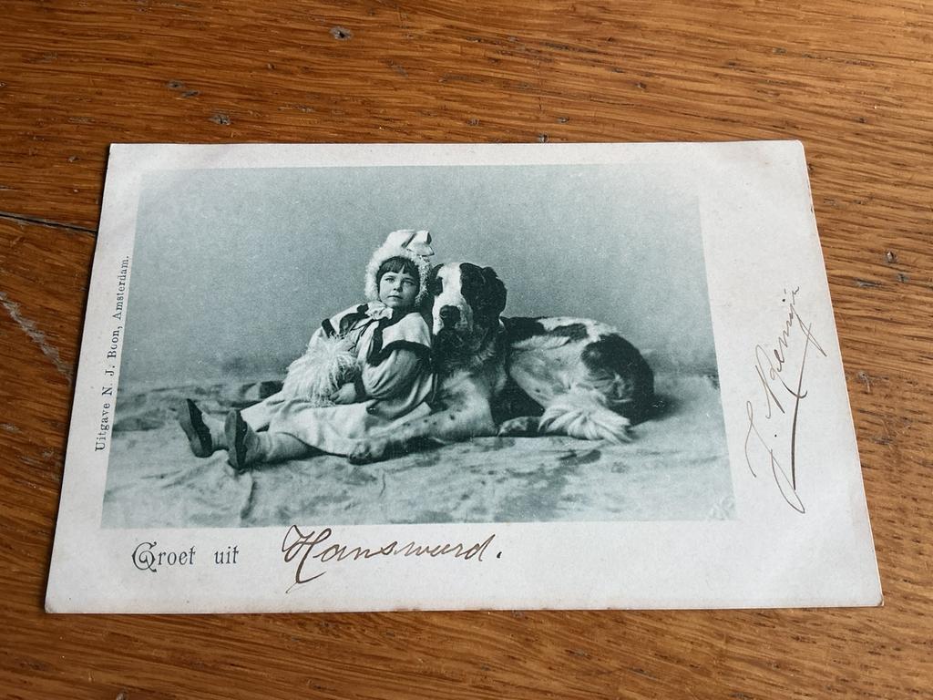 H3 Groet uit Hansweert meisje hond, Verzamelen, Ophalen of Verzenden, Voor 1920, Gelderland