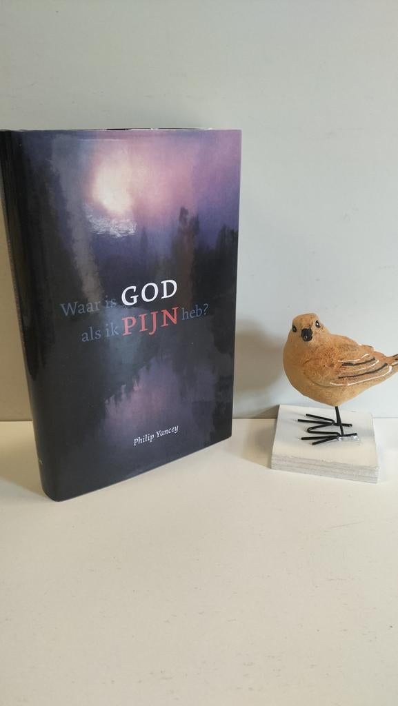 Yancey, Philip;  Waar is God als ik pijn heb ?, Boeken, Ophalen of Verzenden, Gelezen, Christendom | Protestants