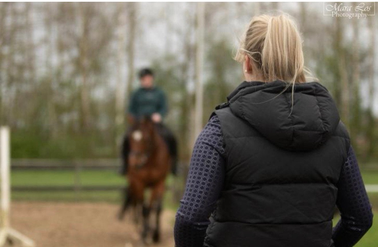 Instructrice aangeboden prive lessen, Dieren en Toebehoren