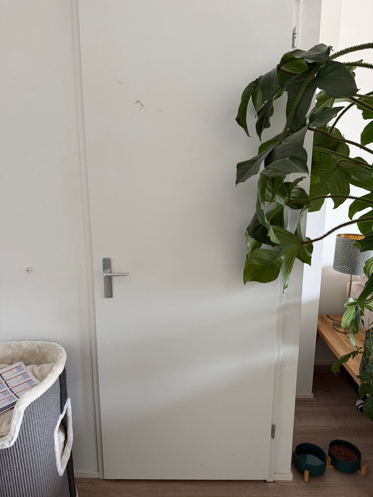 Berkvens binnendeur / opdekdeur 78 x 231,5 cm, Doe-het-zelf en Verbouw, Ophalen, Gebruikt, Minder dan 80 cm, 215 cm of meer