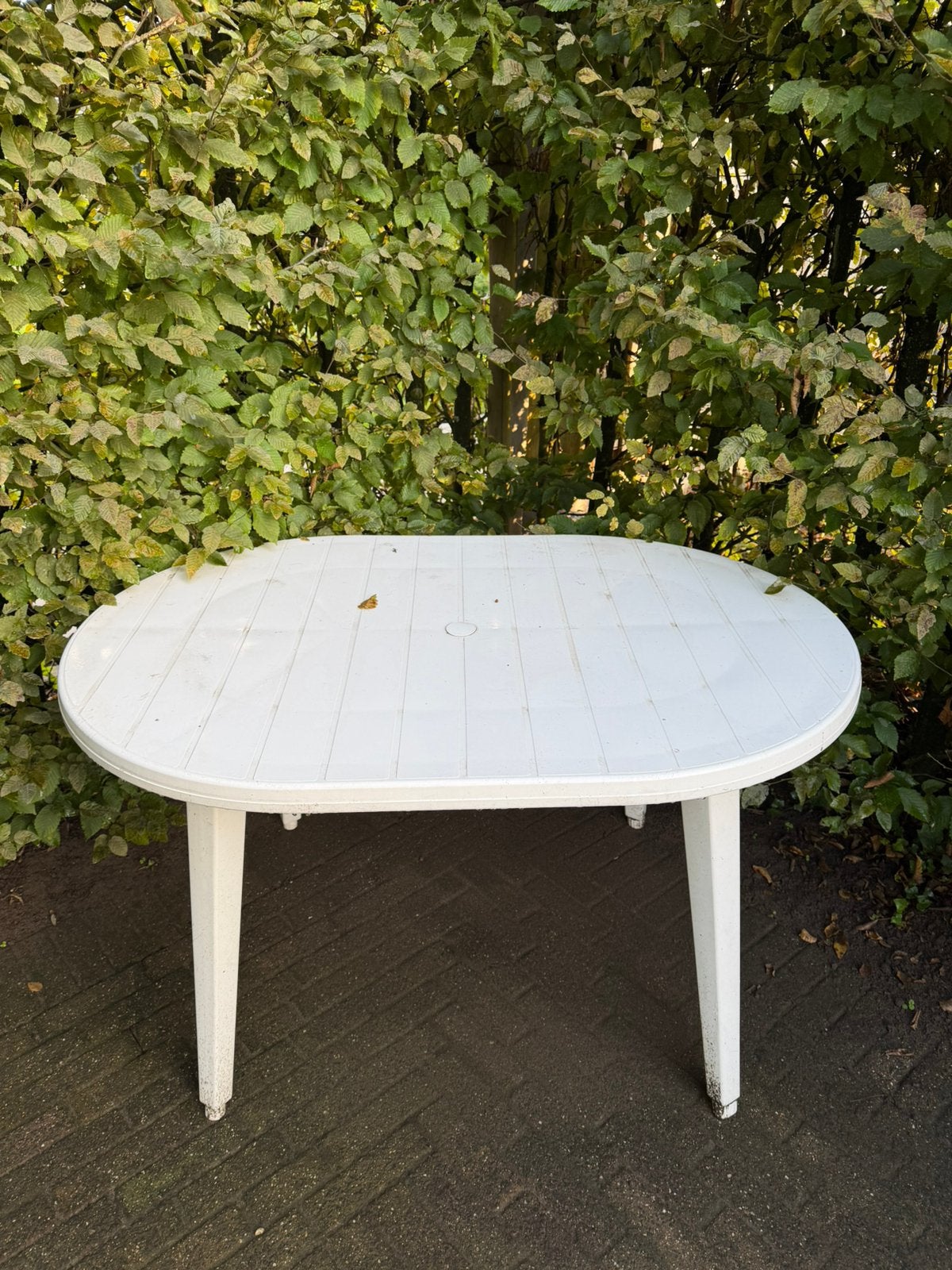 Tuintafel, Ophalen, Gebruikt, Ovaal, Plastic