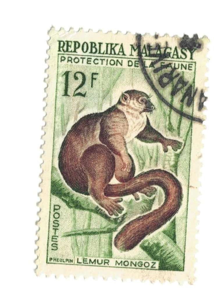 Fauna - Dieren - Aap - Malagasy - 12 F - gebr, Ophalen of Verzenden, Gestempeld, Dier of Natuur