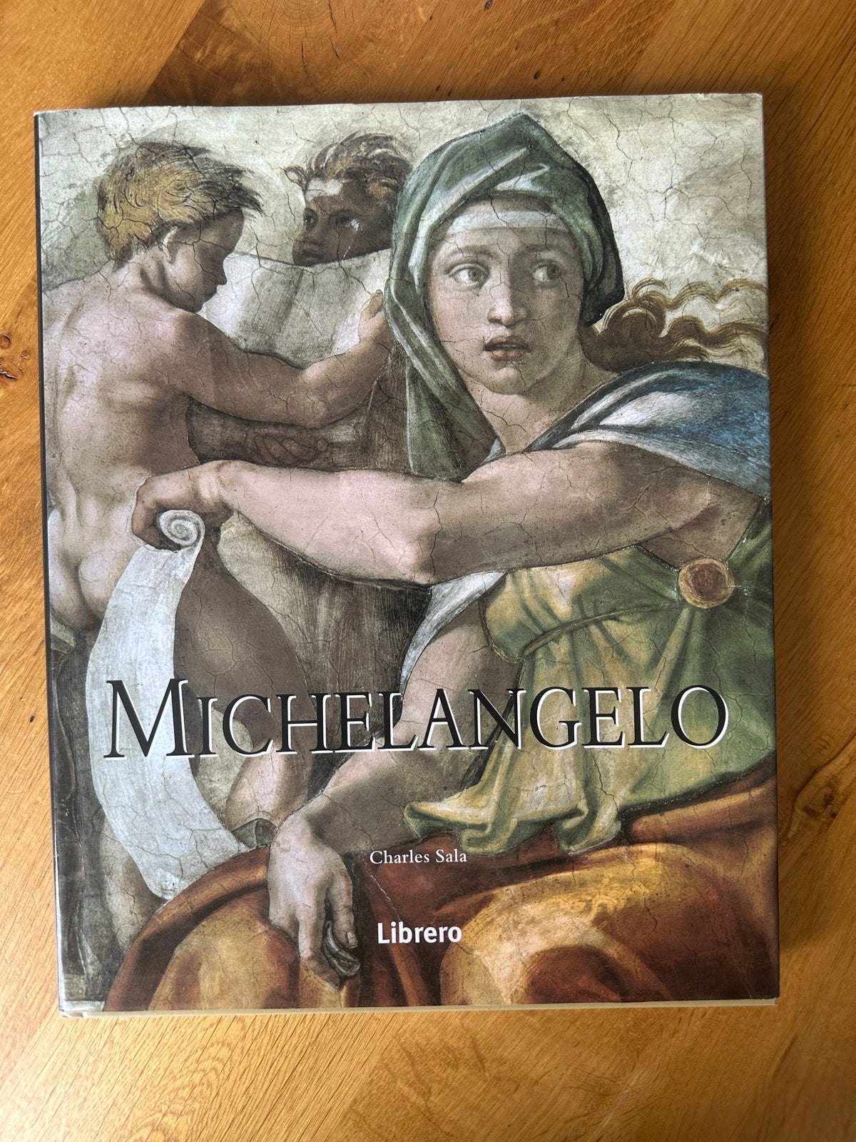 Michelangelo - Charles Sala (Librero), Ophalen of Verzenden, Zo goed als nieuw, Schilder- en Tekenkunst